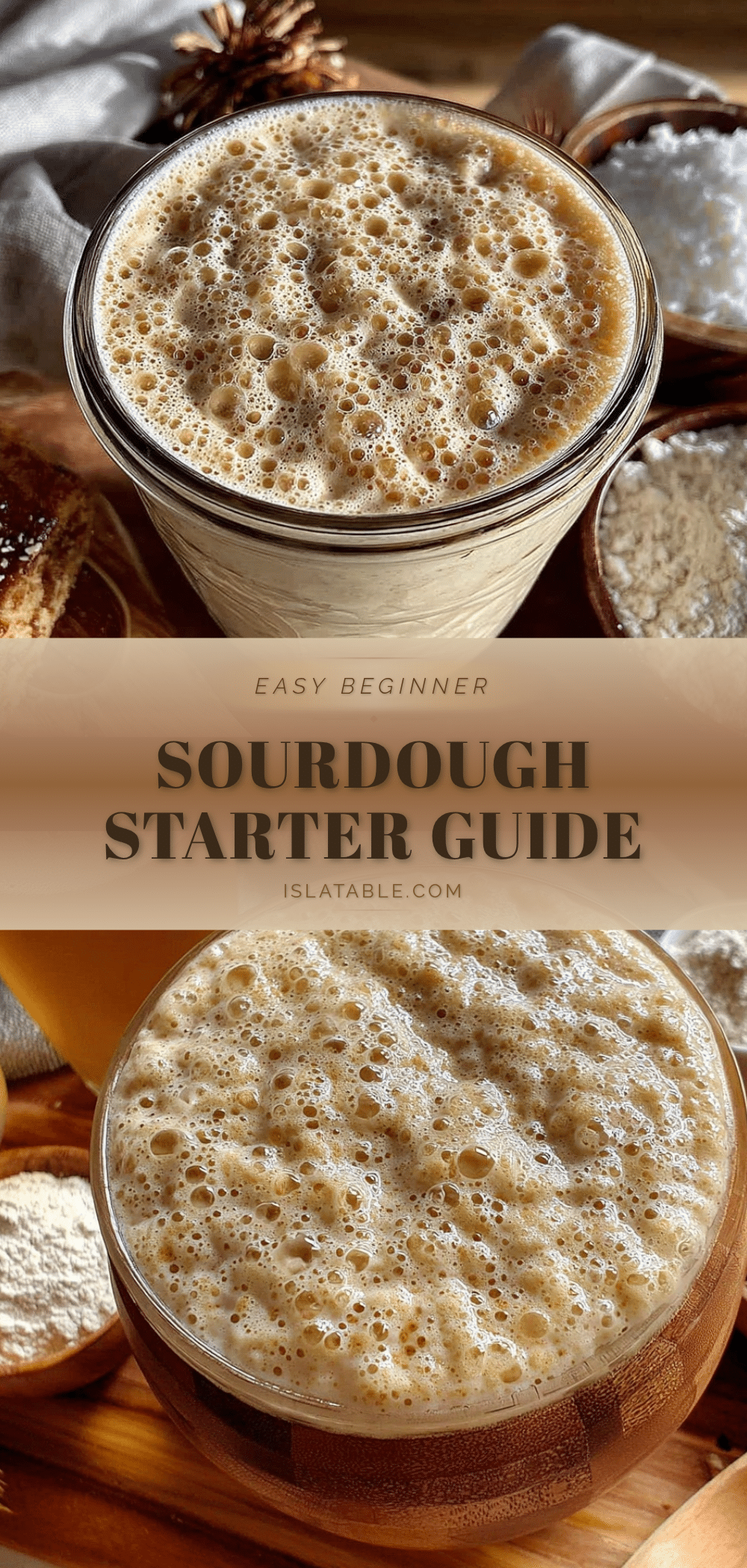 easy beginner sourdough starter recipe