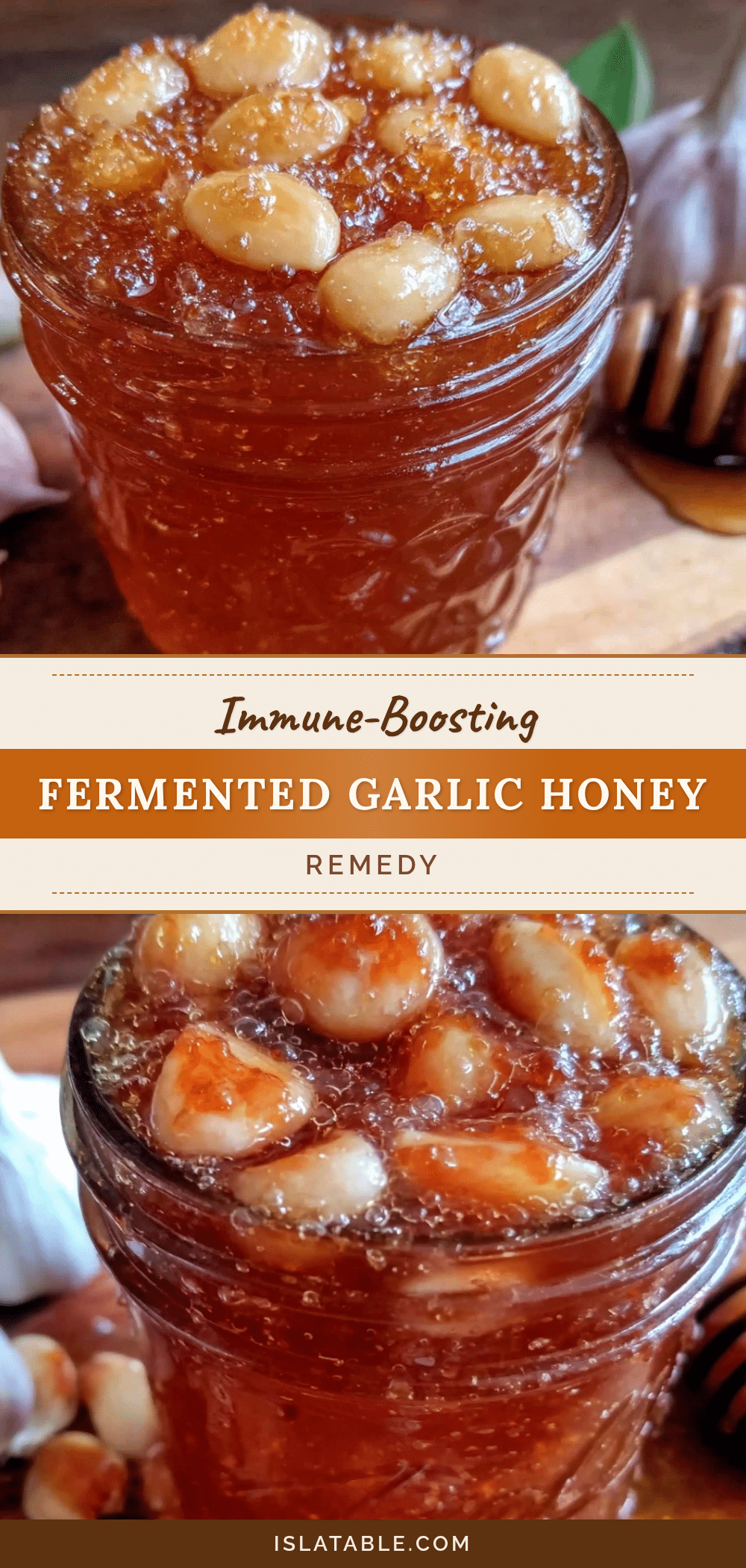 fermented garlic honey remedy recipe