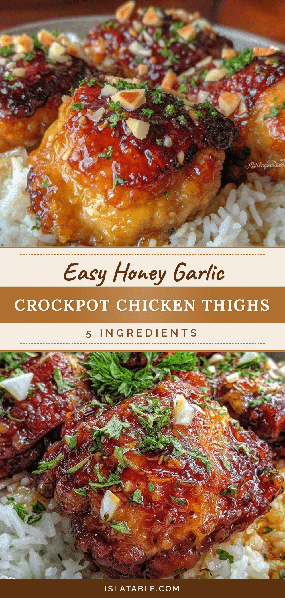 honey garlic crockpot chicken thighs recipe
