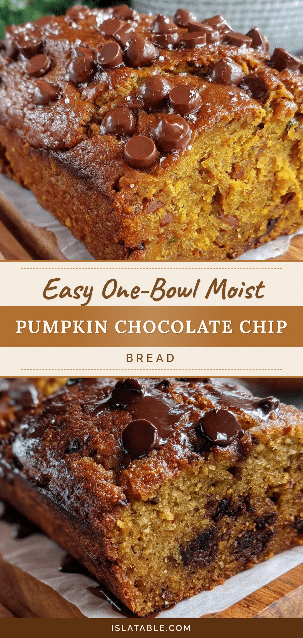 pumpkin chocolate chip bread recipe