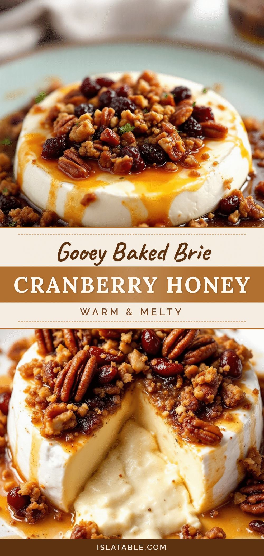 baked brie with cranberry pecan honey topping recipe