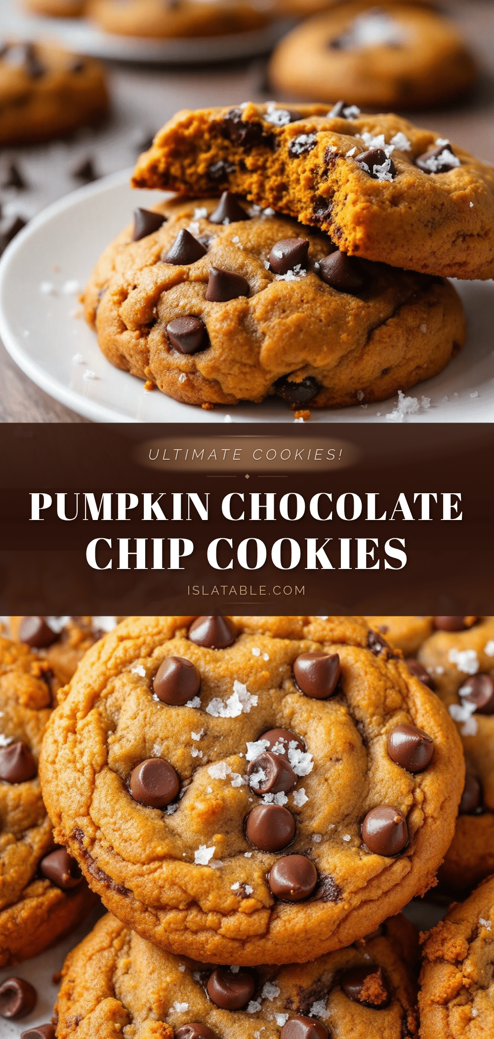 pumpkin chocolate chip cookies with sea salt recipe