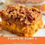 pumpkin dump cake with pecan streusel - featured image