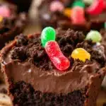 chocolate dirt cups - featured image