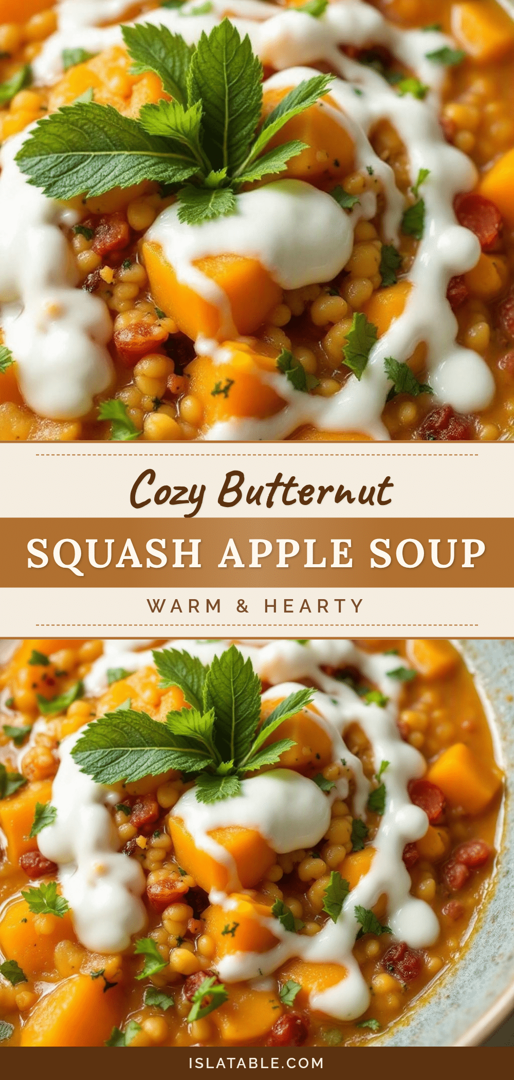 cozy butternut squash apple soup with sage recipe
