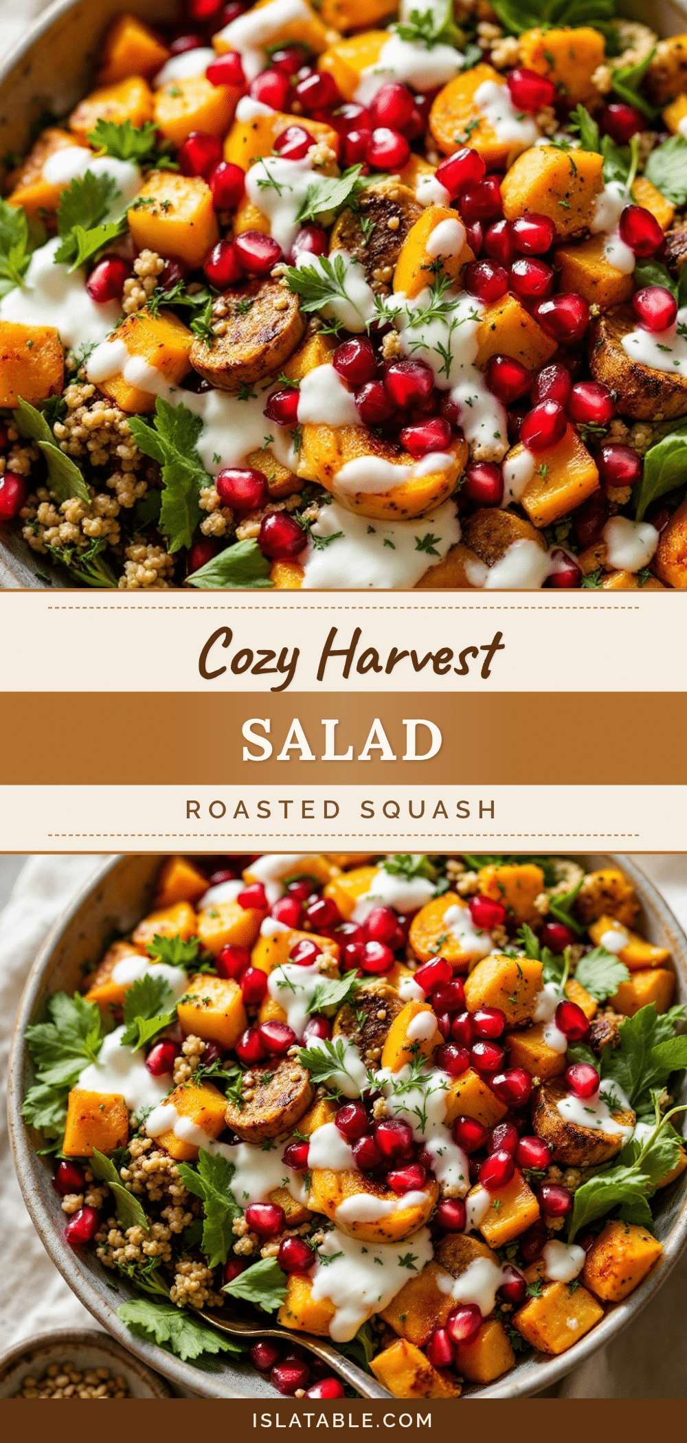cozy harvest salad with roasted squash recipe