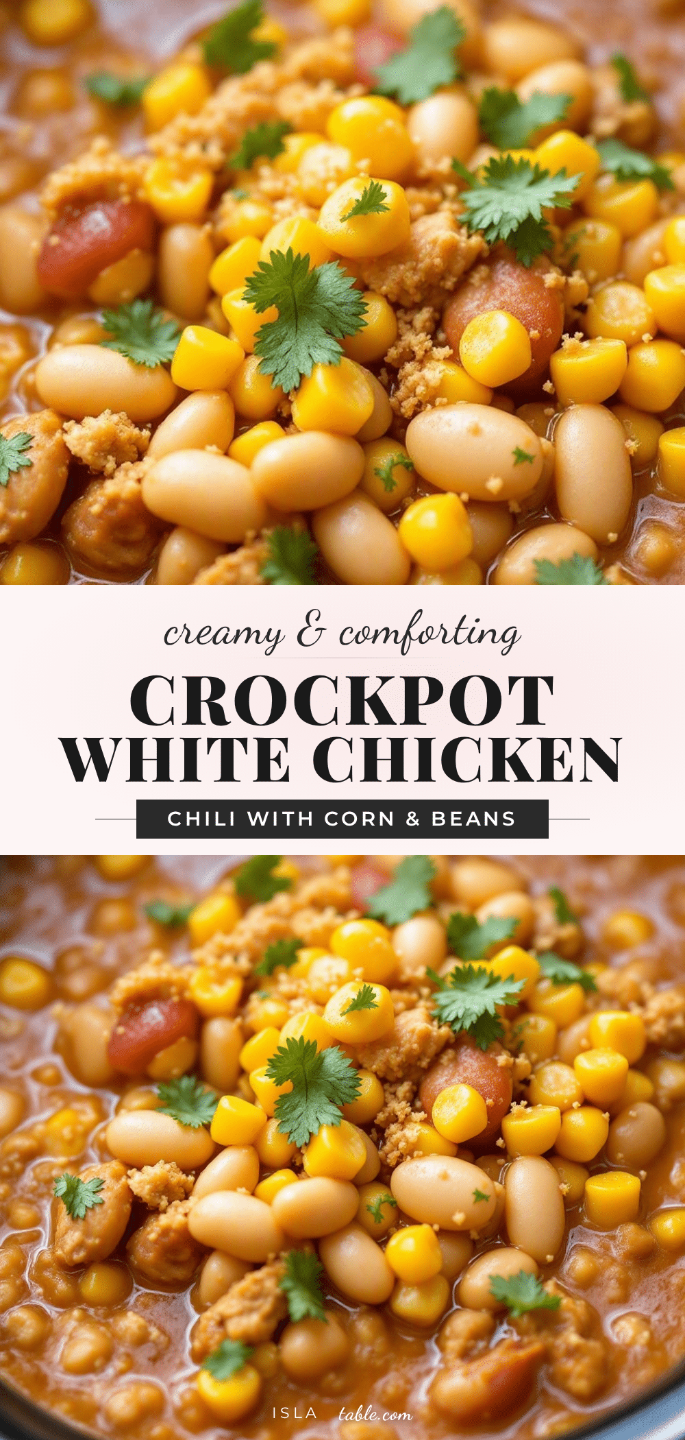 creamy crockpot white bean chicken chili recipe