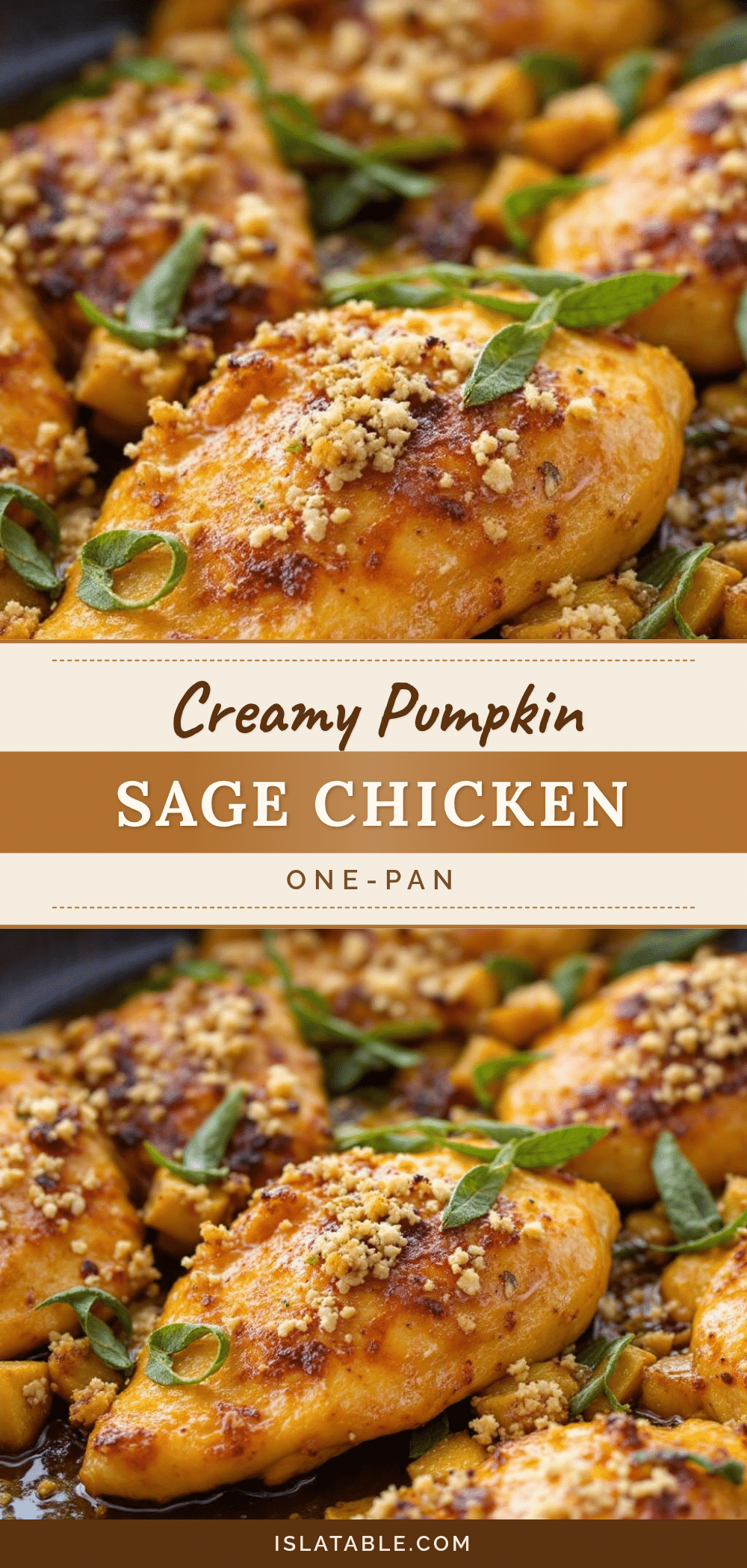 creamy pumpkin sage chicken recipe