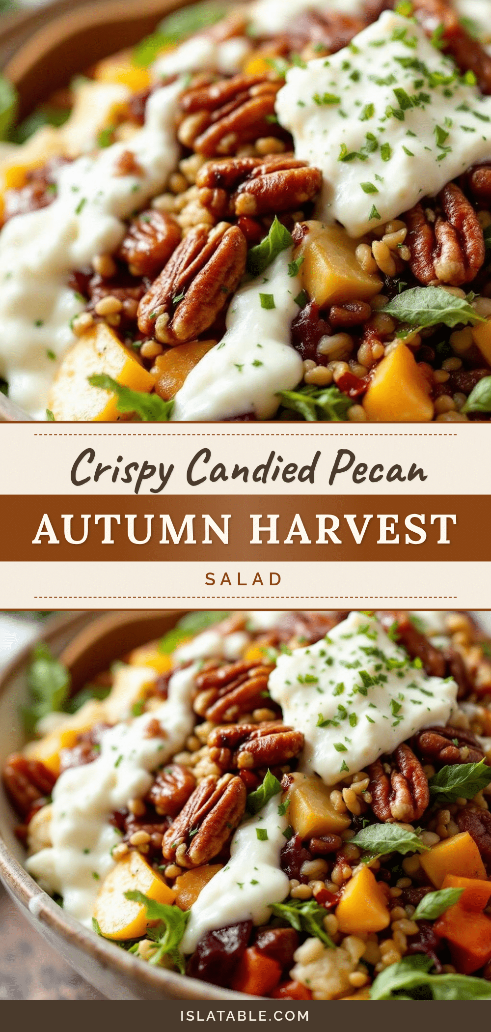crispy autumn harvest salad recipe