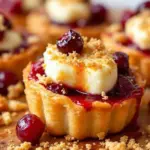 crispy cranberry brie bites - featured image