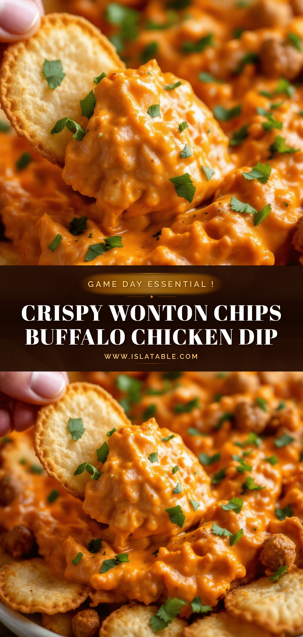 Crispy Wonton Chips recipe