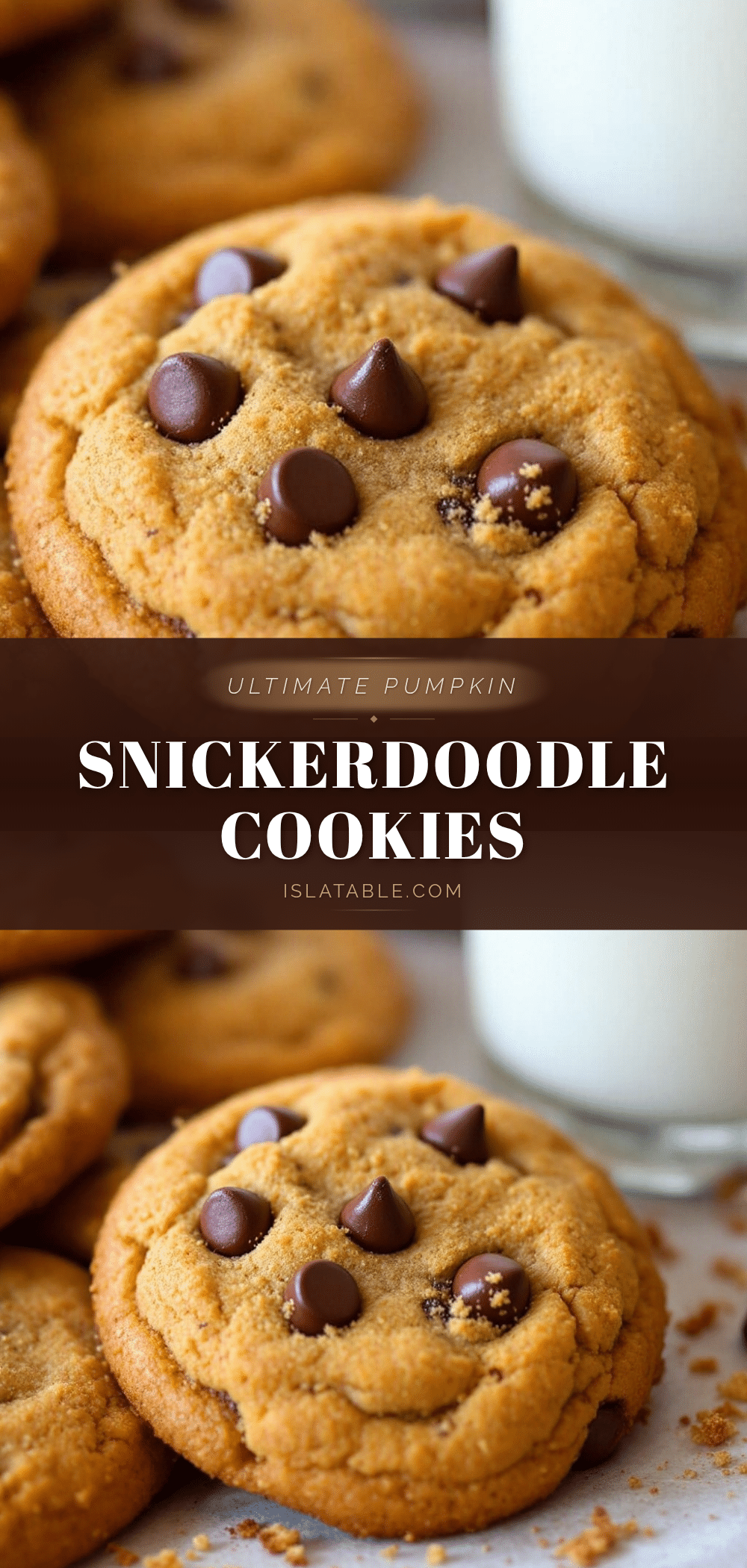 pumpkin chocolate chip snickerdoodle cookies recipe