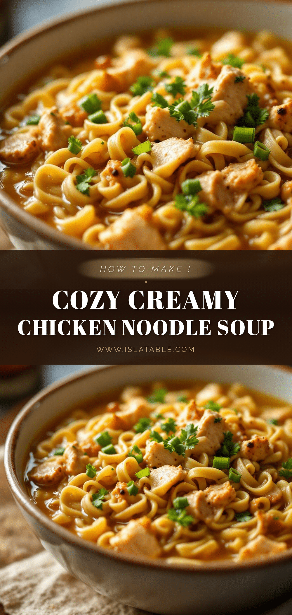 rotisserie chicken noodle soup recipe
