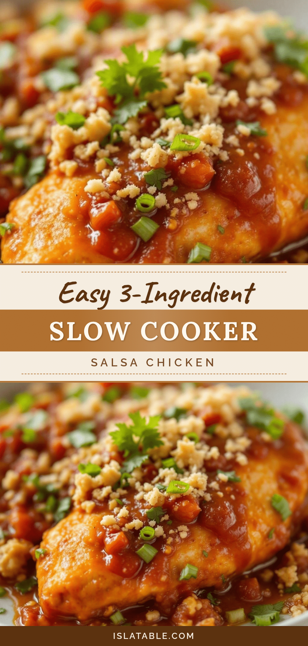 slow cooker salsa chicken recipe